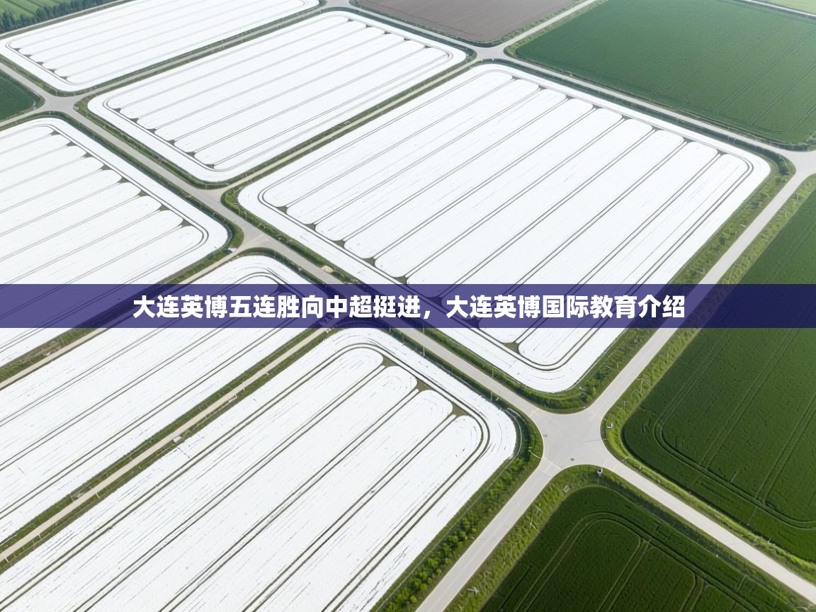 大连英博五连胜向中超挺进,大连英博国际教育介绍 第2张