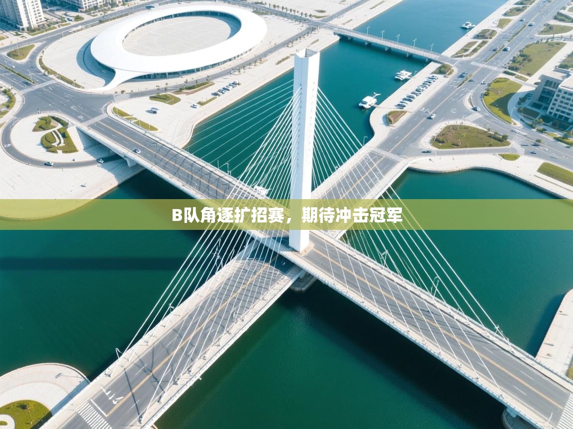 B队角逐扩招赛，期待冲击冠军  第2张