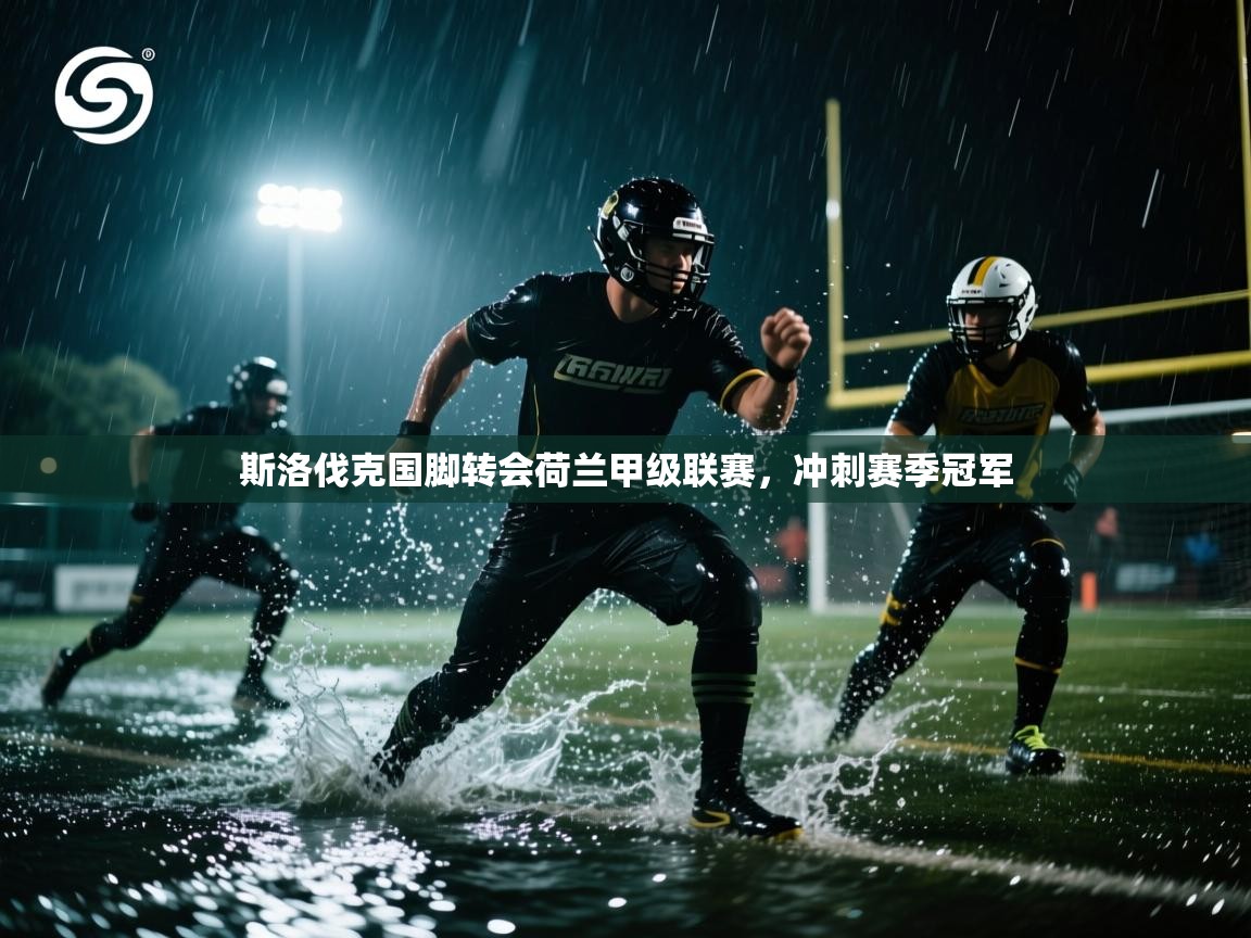 斯洛伐克国脚转会荷兰甲级联赛,冲刺赛季冠军 第1张